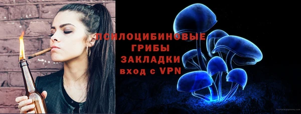 jwh Белокуриха