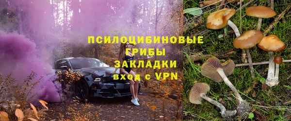 тгк Богородск