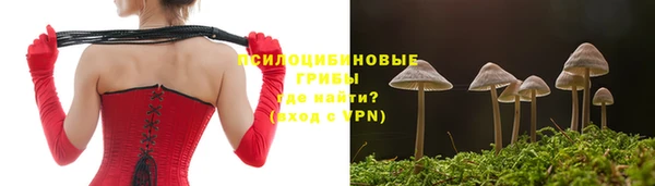 ECSTASY Белоозёрский