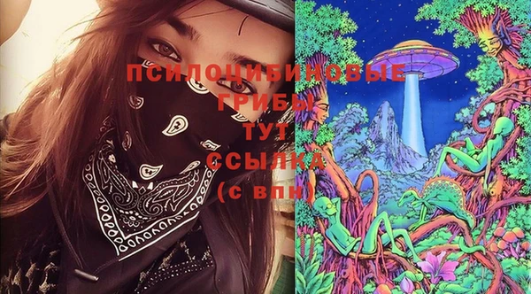 тгк Богородск