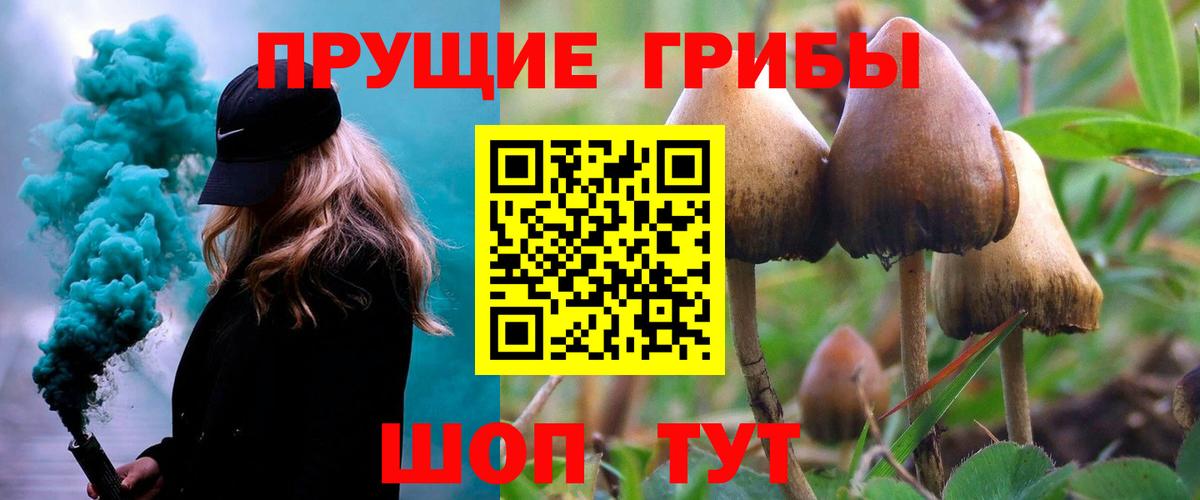 Псилоцибиновые грибы мицелий  Вход с VPN  Псилоцибиновые грибы мицелий  Богородск 